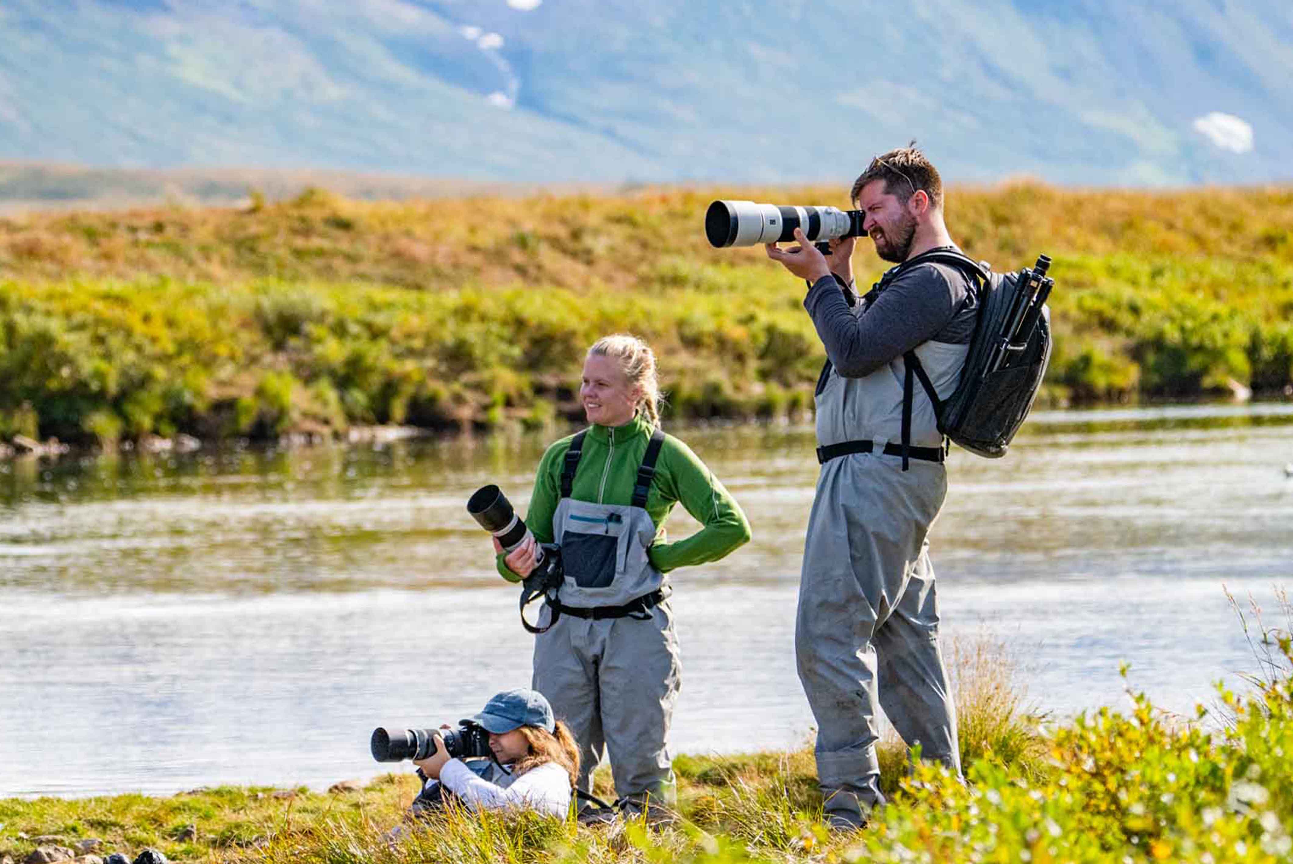 Guided Bear Photography Trips 