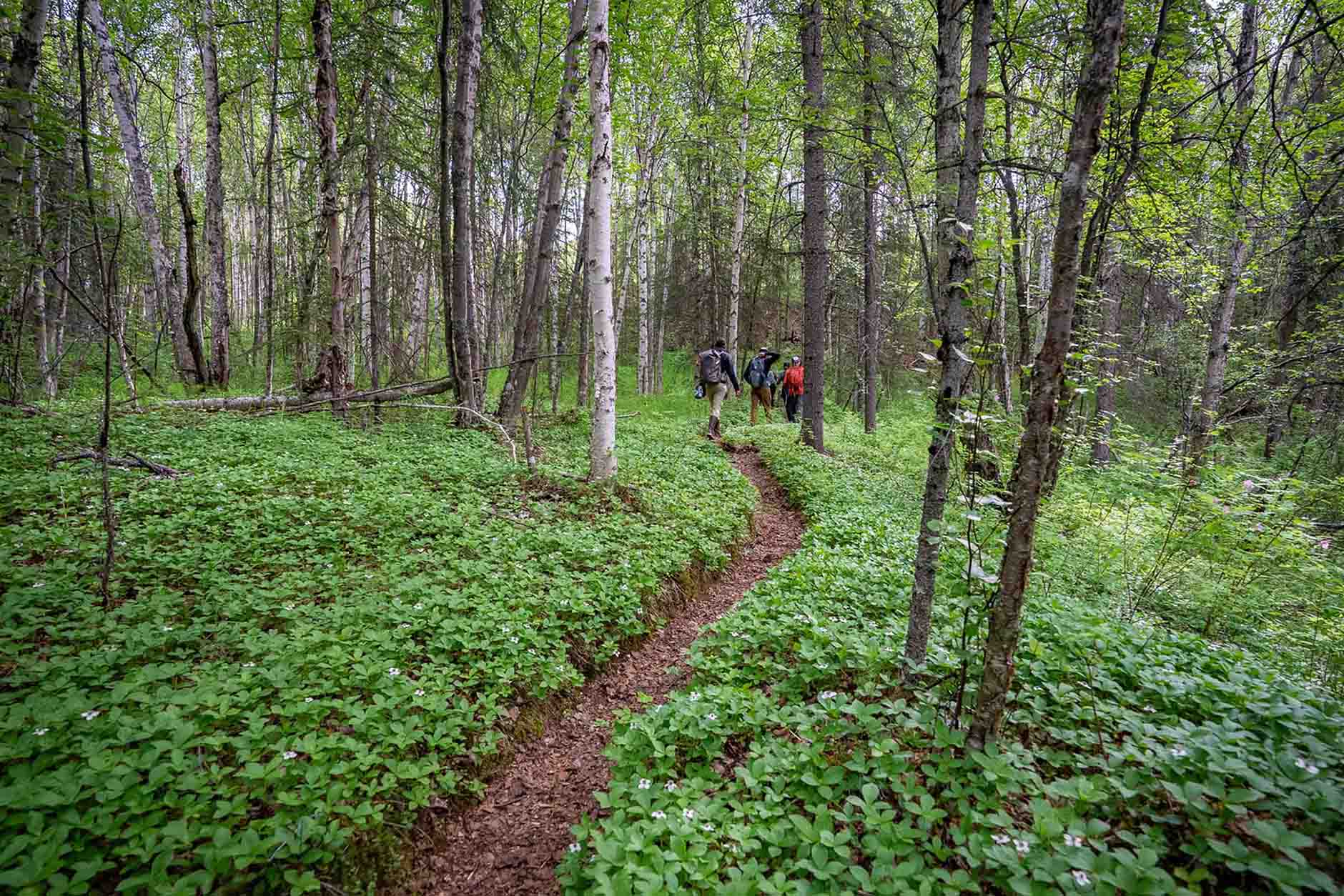 Hiking from Lake Clark National Park HQ