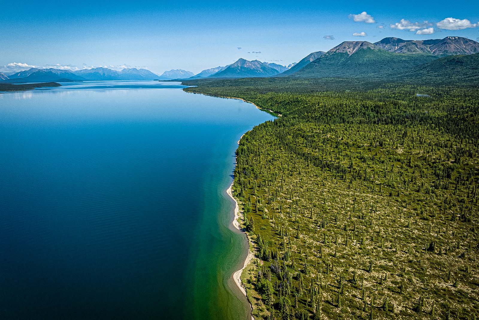 Lake Clark National Park Shoreline 
