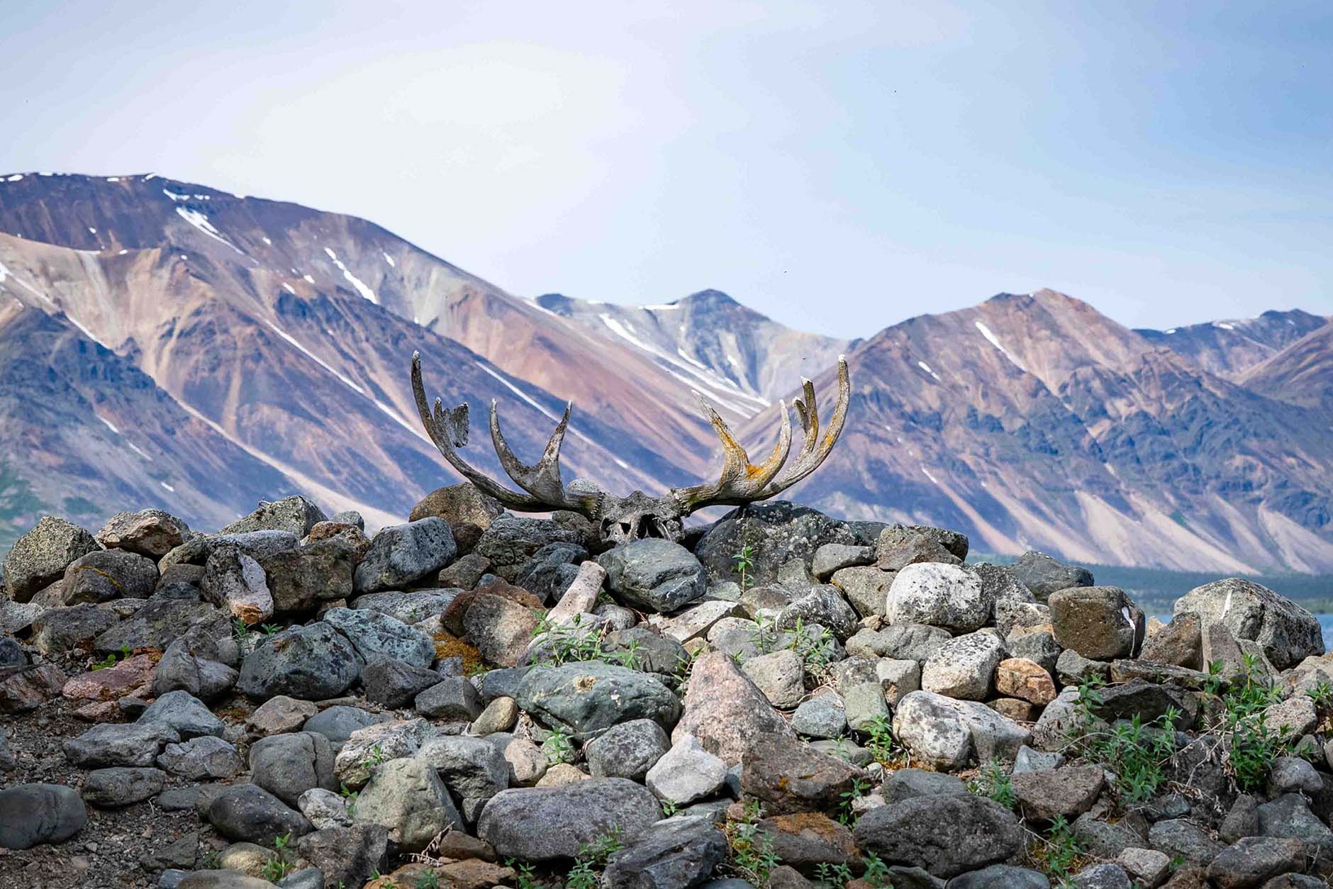 Dick Proenneke's Cabin
