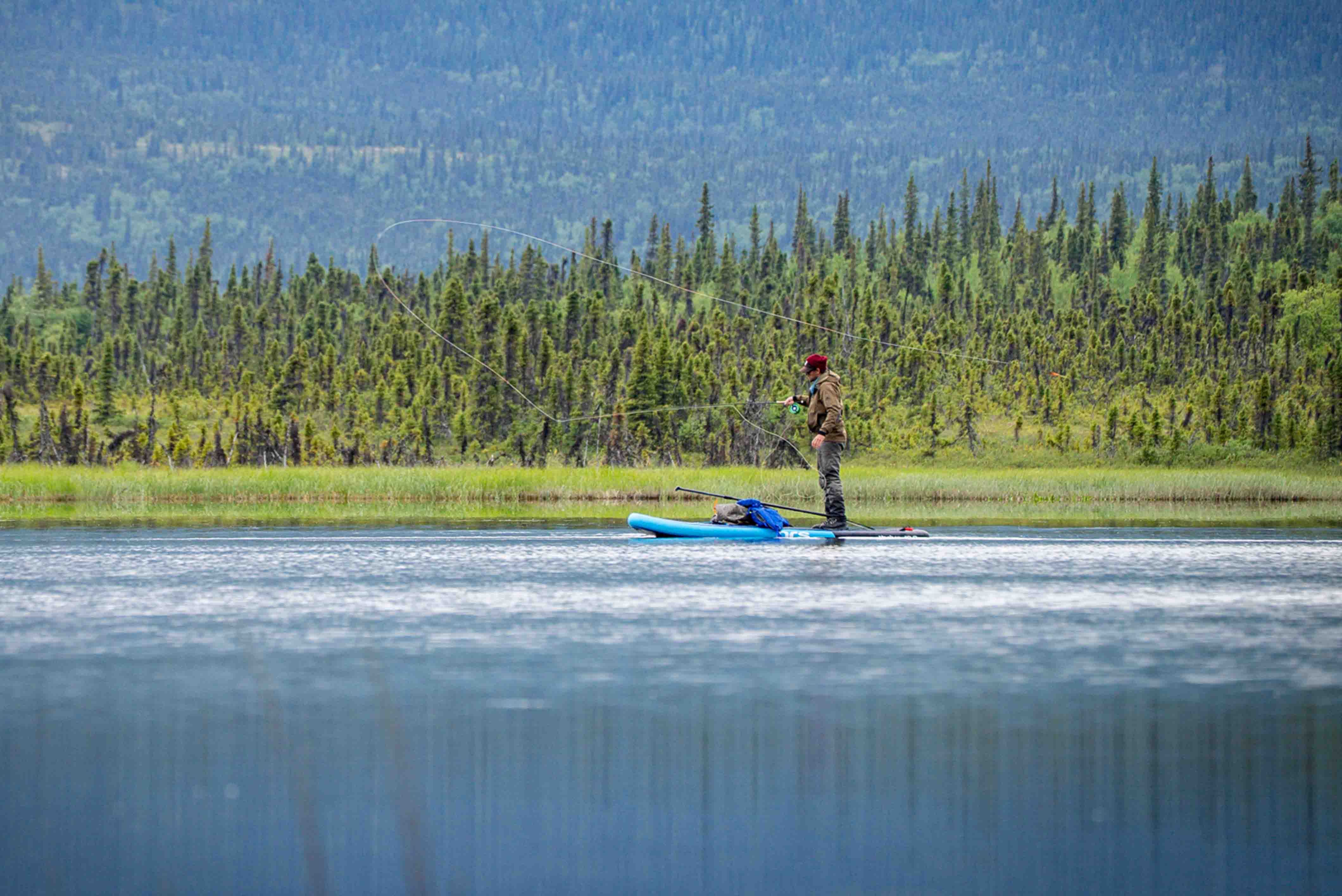 Northern Pike Fishing Alaska 