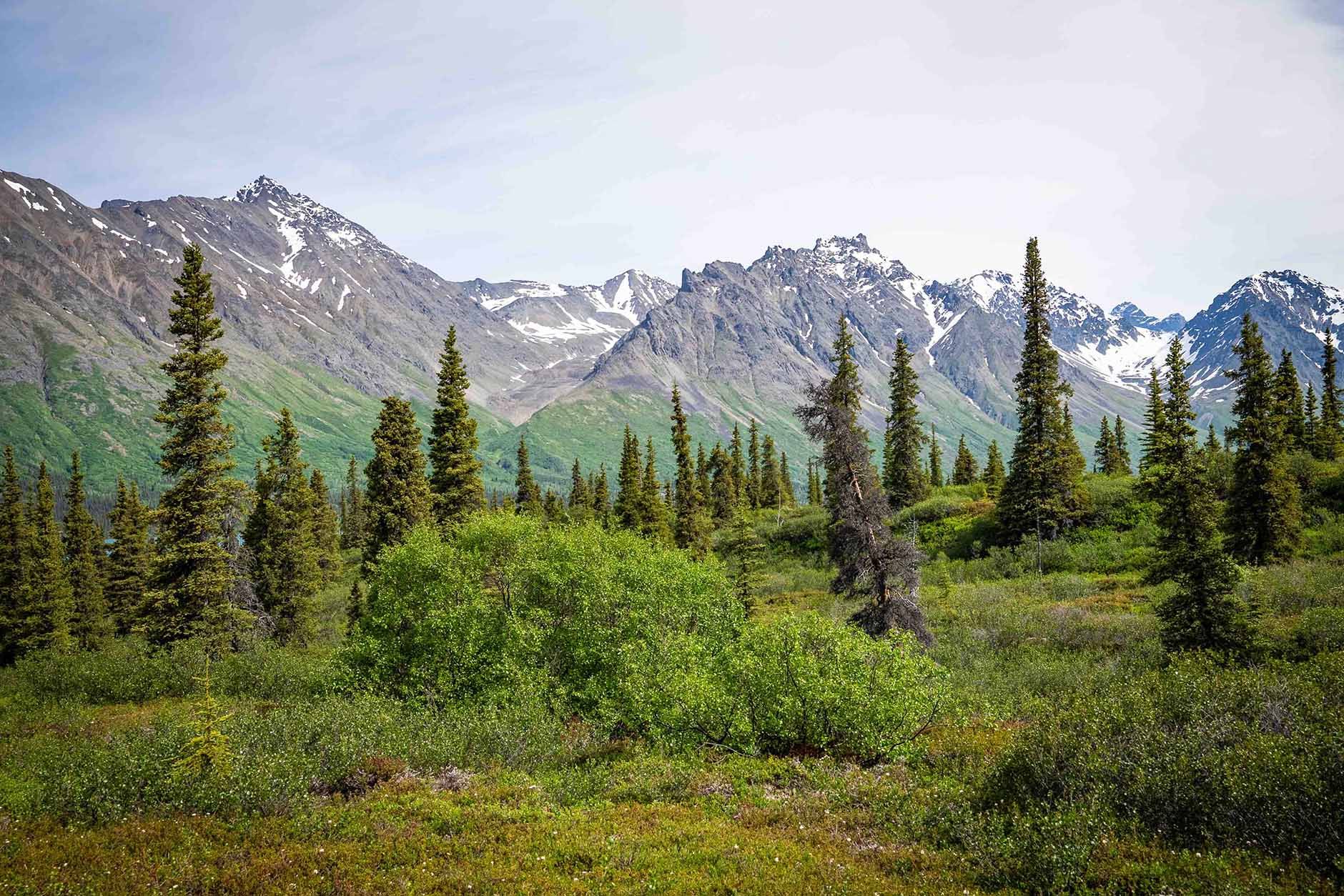 Overlooking Mountains at Proennekes 