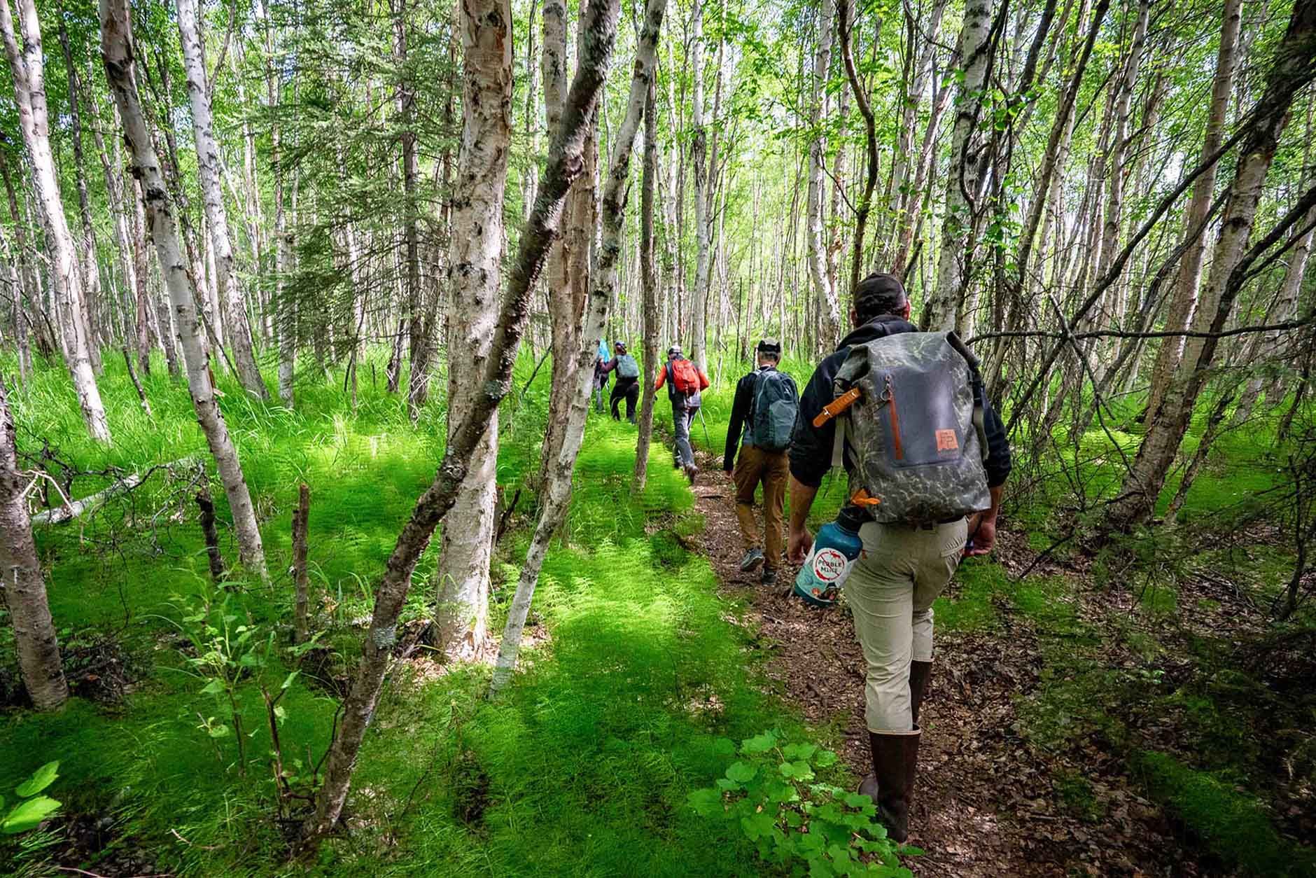 Tanalian Falls Trail Lake Clark 