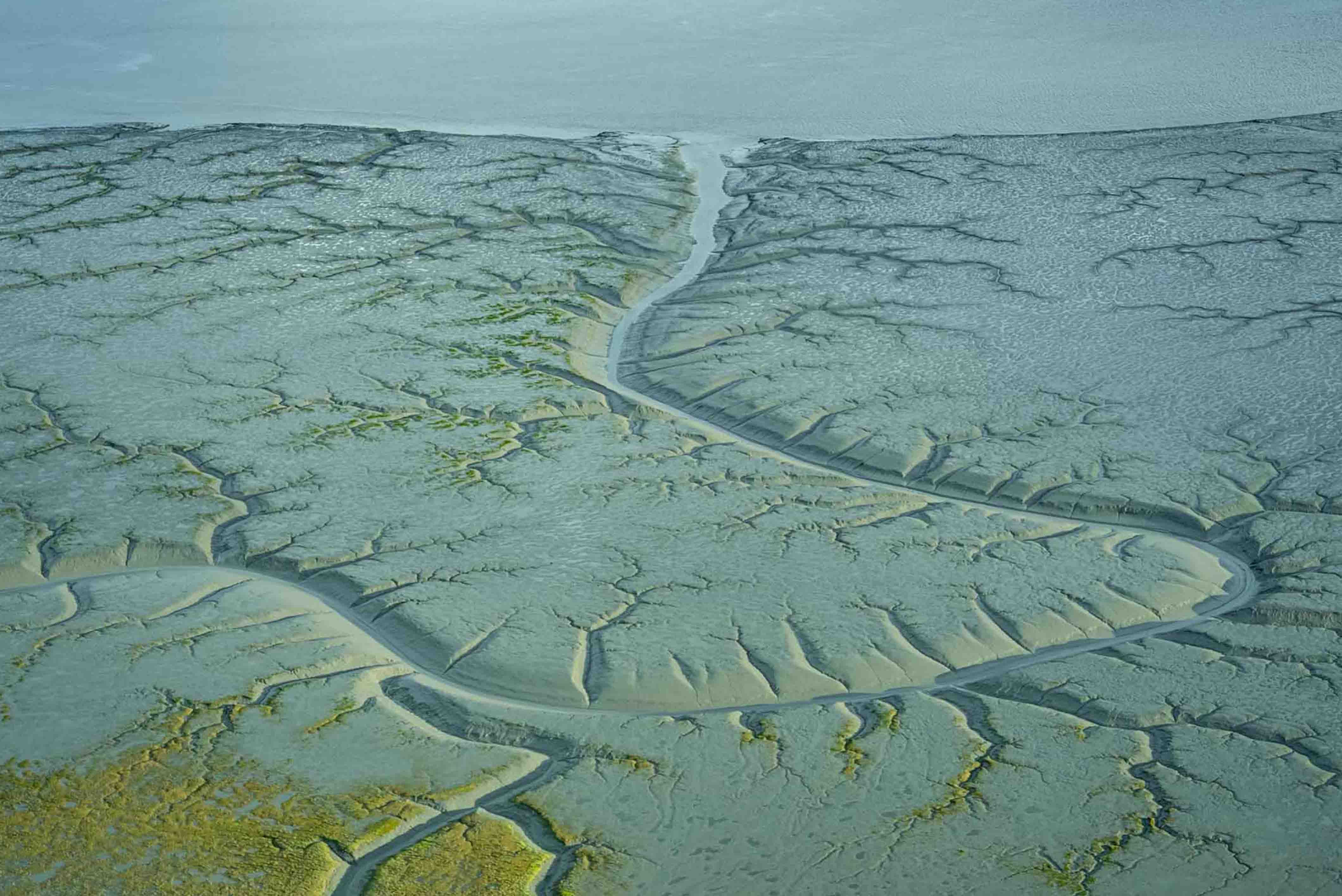 Tidal Flat Lake Clark National Park 