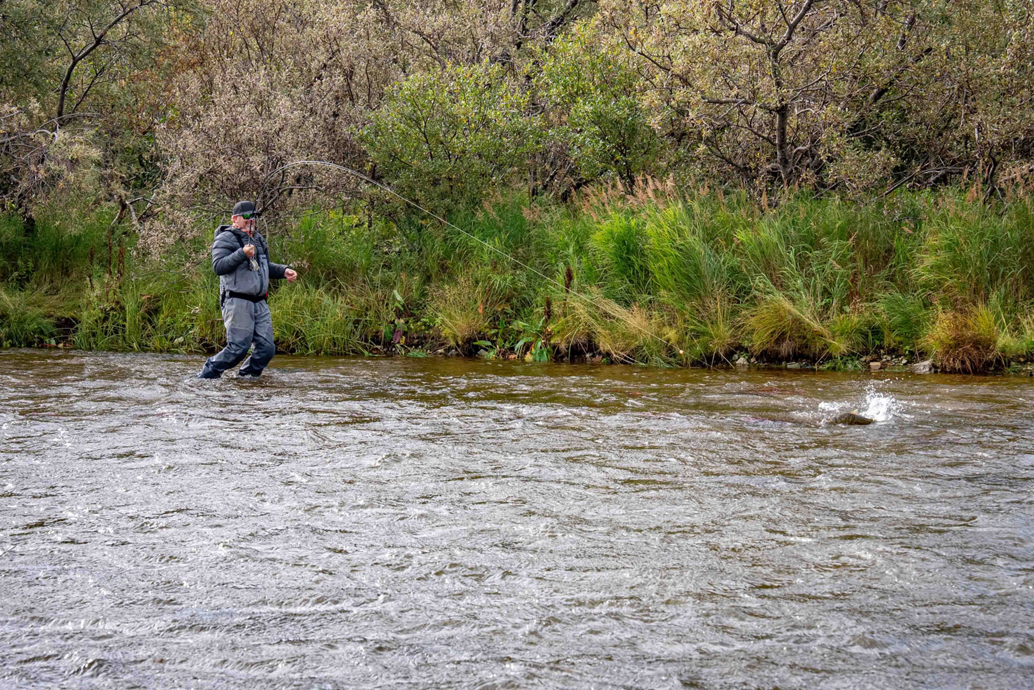 Fly Fishing Lake Clark