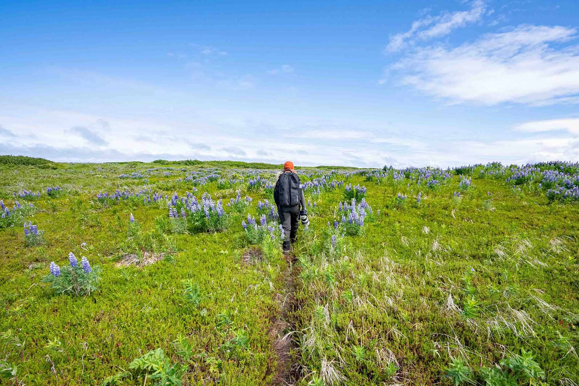 Hiking the Lake Clark Coastline