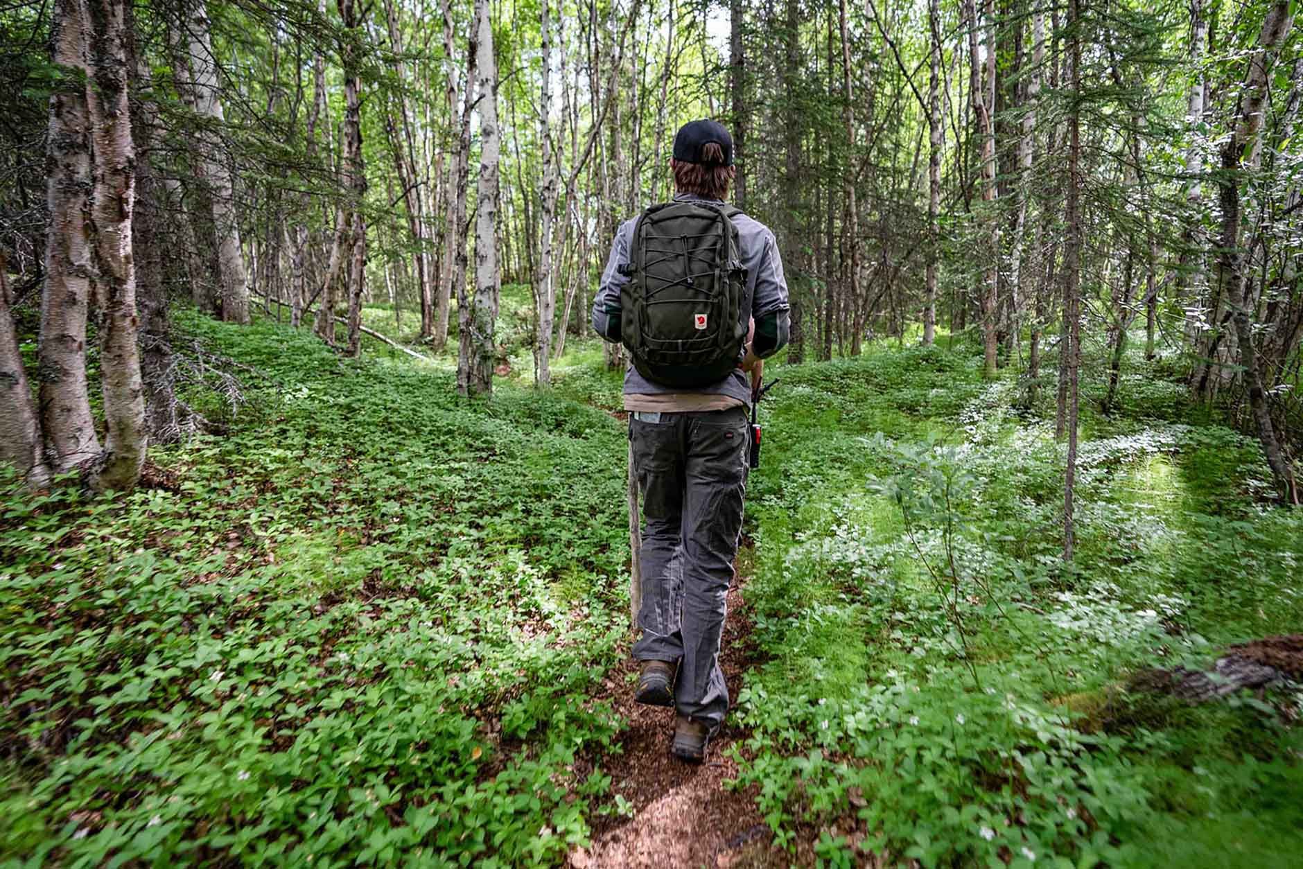 Hiking to Tanalian Peak Summit Trail 
