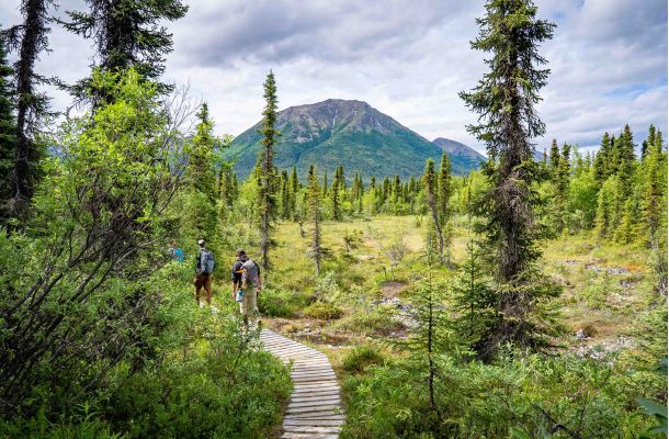 Hiking Tanalian Falls Trail Alaska 