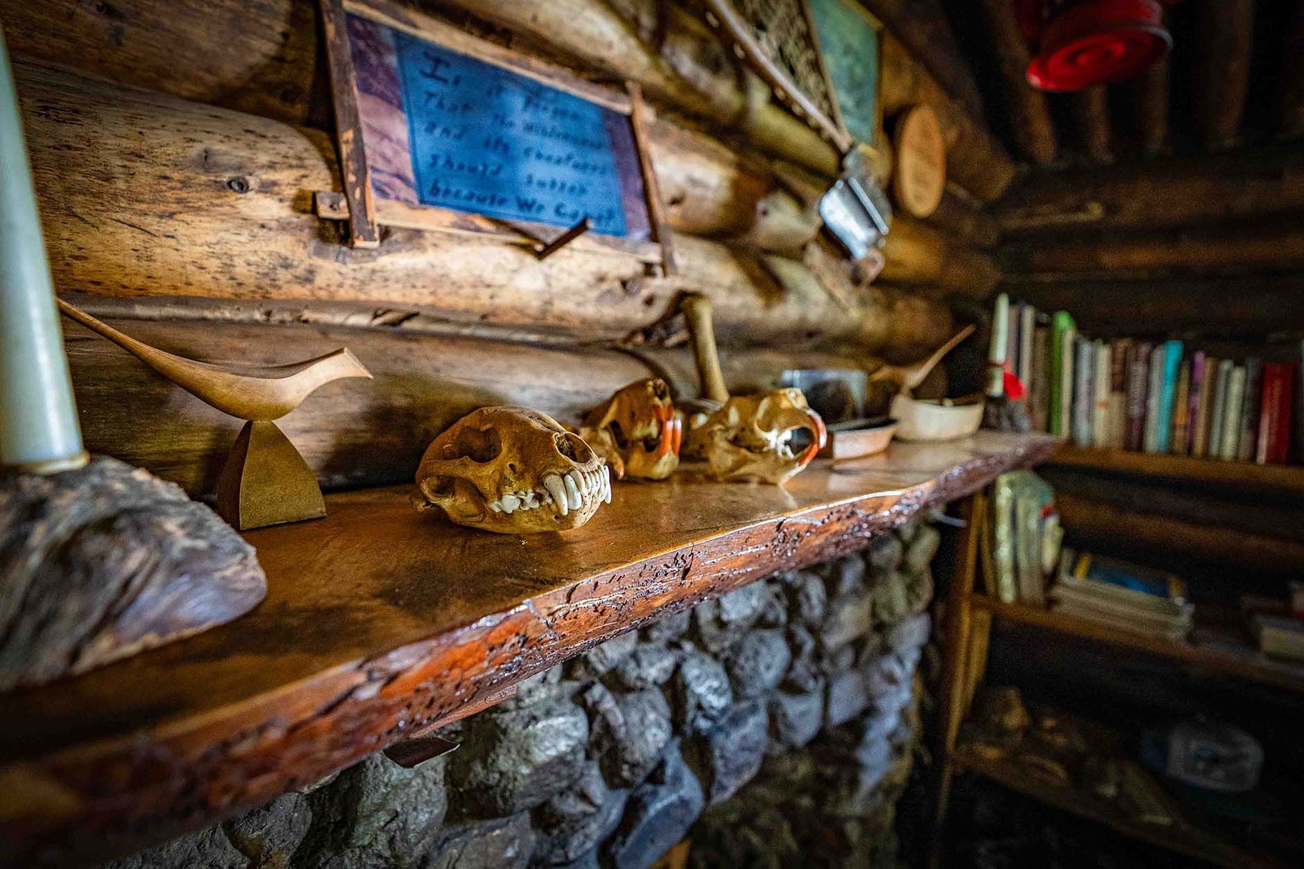 Dick Proenneke Bookshelf and Treasures