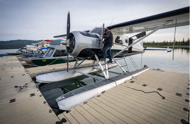 Alaskan Brown Bear Watching 
