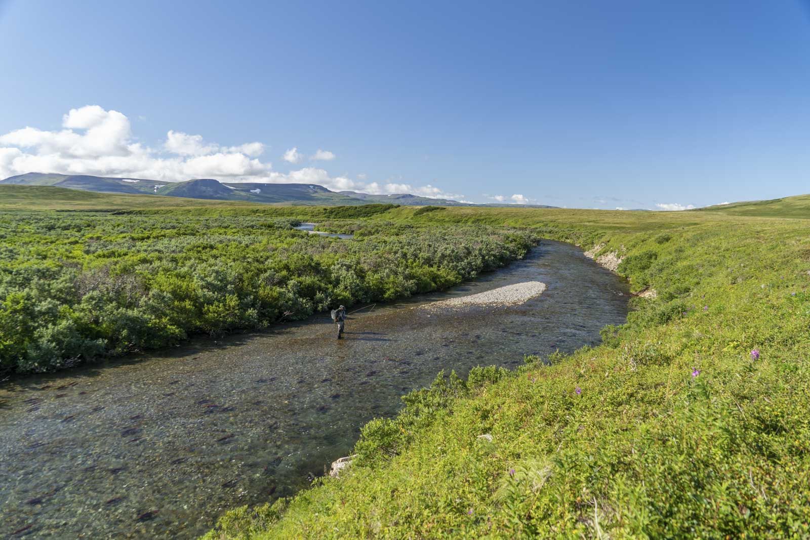 Sight Fishing on Moraine Creek Alaska
